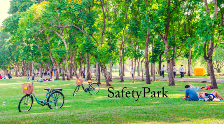 Safety Park: Ensuring a Secure and Enjoyable Environment for All